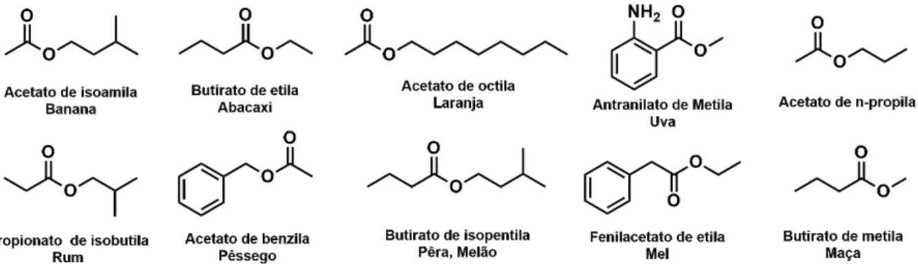 Figura 6.​  Estrutura química de algumas moléculas responsáveis pelo sabor e fragrância de  alimentos