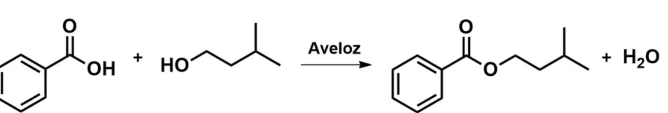 Figura 17.​  Esquema geral de uma reação de esterificação enzimática do benzoato de isoamila