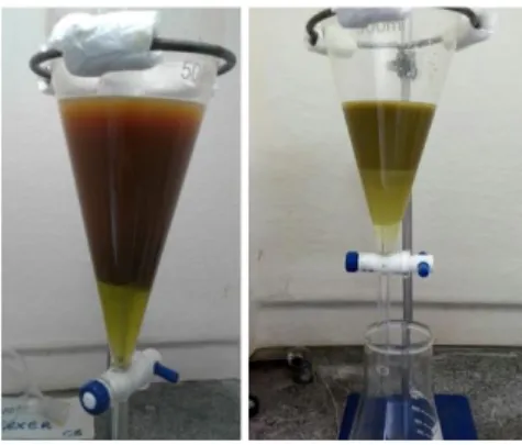 Figura 10. Emulsão formada durante a extração líquido-líquido de um extrato de erva-mate utilizando  clorofórmio