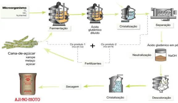 Figura 4 - Processos utilizados na fabricação de glutamato monossódico por fermentação