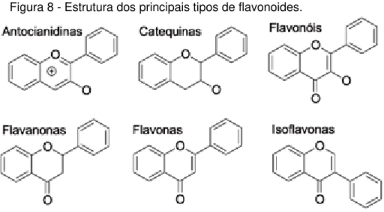 Figura 8 - Estrutura dos principais tipos de flavonoides.