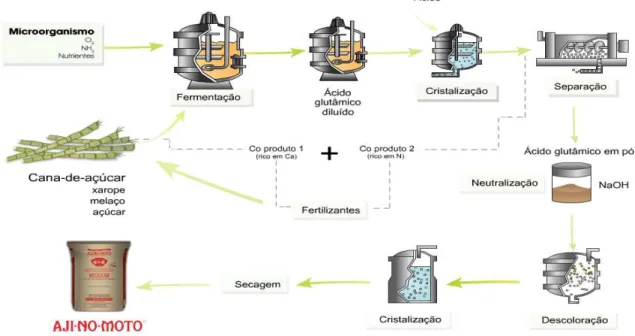 Figura 4 - Processos utilizados na fabricação de glutamato monossódico por fermentação