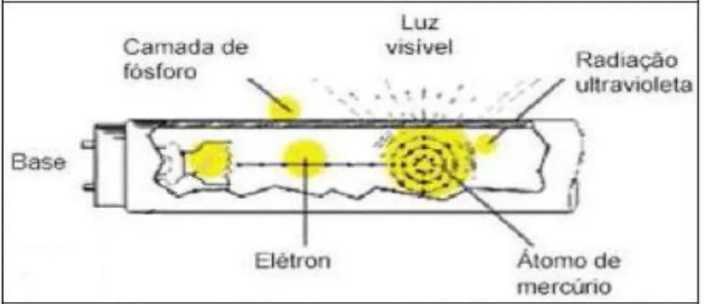 Figura 1- Funcionamento de uma lâmpada fluorescente (André, 2004).