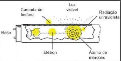 Figura 2- Funcionamento de uma lâmpada fluorescente (André, 2004).