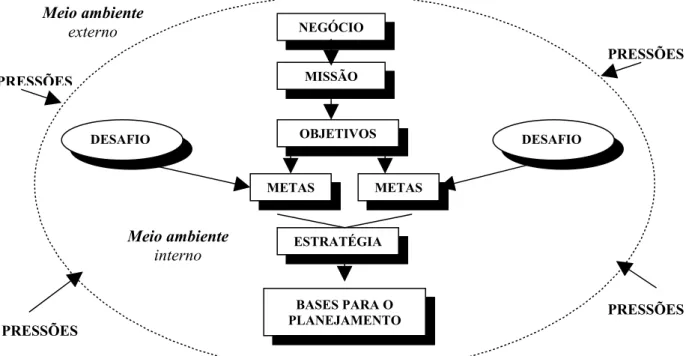 Figura 2- Pressões no processo de planejamento