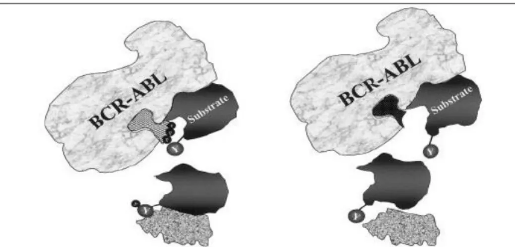 Figura 5:  Mecanismo de ação dos ITK. A droga inibe seletivamente o clone mutado, enquanto a ligação  fisiológica de ATP permite fosforilar os resíduos de tirosina em seus substratos (representação à esquerda) a  droga se liga ao sítio de ATP sem fornecer 
