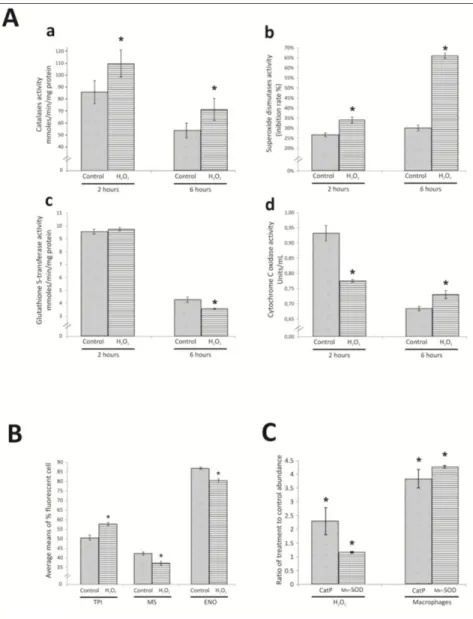 Figure 3. Enzymatic activity, flow cytometry and quantitative real-time reverse transcription analysis  confirm proteomic data of  Paracoccidioides yeast cells during oxidative stress