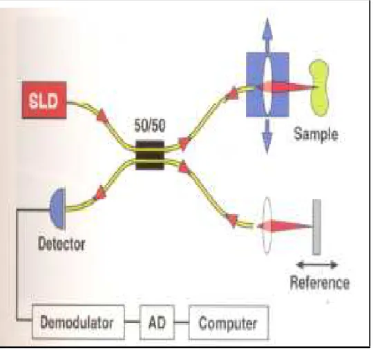 Figura 12: Diagrama de funcionamento da OCT  Fonte: Huang et al., 2006 