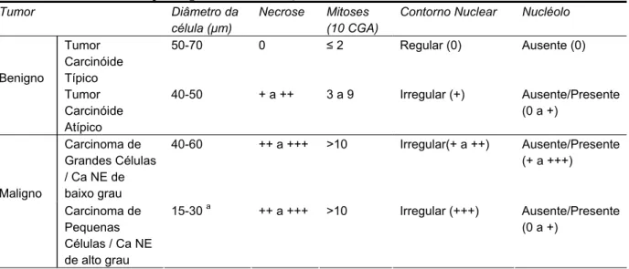 Tabela 2 - Critérios histopatológicos de classificação dos carcinomas neuroendócrinos, conforme a OMS 