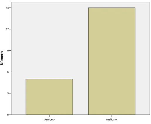 Figura 5 - Freqüências dos tumores conforme a classificação em dois estratos 