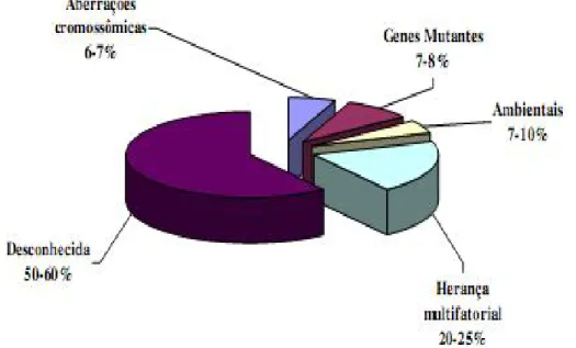 Figura 1 - Distribuição da etiologia das malformações congênitas segundo Moore &amp; Persaud (2000,  p