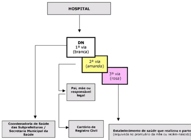 Figura 2 - Fluxo da declaração de nascido vivo (DNV) / partos hospitalares   Fonte: MS (12) 