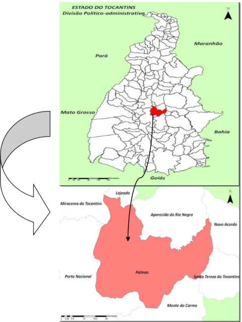 Figura 1 - Divisão político-administrativa do estado e limites municipais de Palmas  –  TO, Brasil, 2014