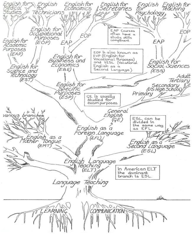 FIGURA 2.2  –  A árvore do ensino de inglês 