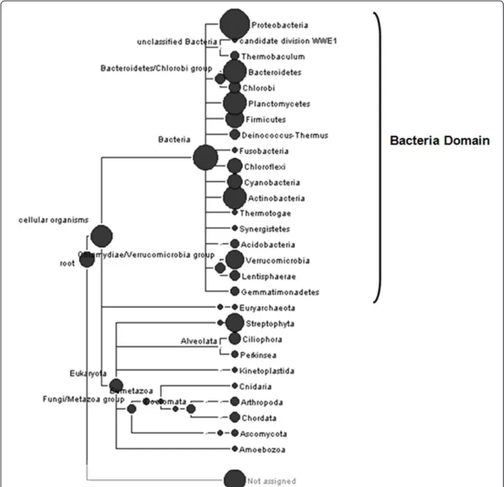 Figure 2 Phylogenetic tree of all reads derived from the enriched refinery sludge community by MEGAN analysis.