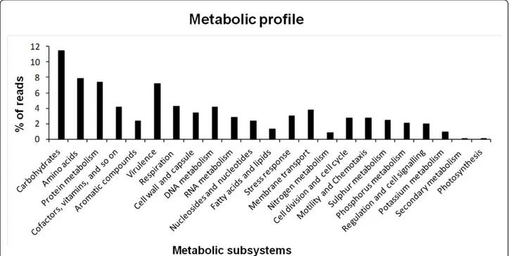 Figure 5 Metabolic profile of phenol degrading sludge metagenomic libraries datasets using MG-RAST platform.