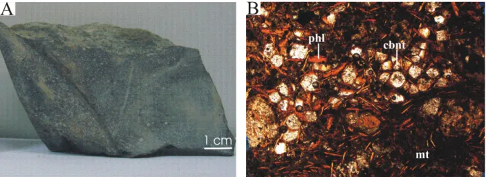 Figura 1 1 2.6  - Aspectos petrográficos dos flogopita picritos do complexo de Serra Negra