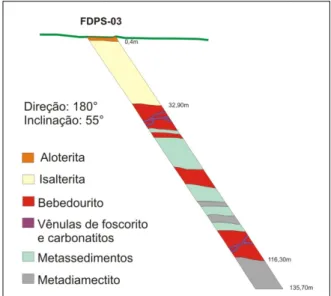 Figura 4.1 -  Desenho esquemático das litologias descritas no furo FDPS-03 elaborado pela  equipe de campo da empresa Anglo American Ltda