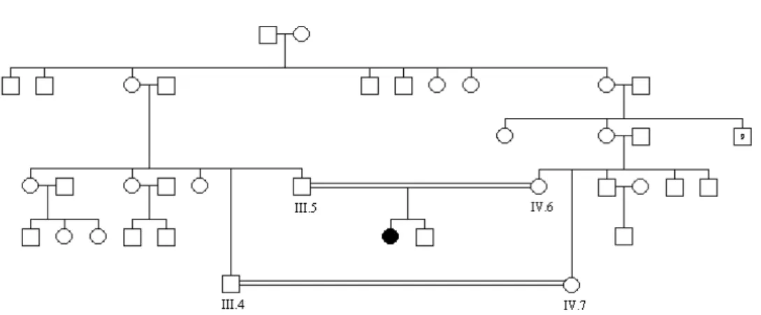 Figura 24: Heredograma da paciente 8 