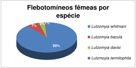 Figura 12 Distribuição percentual de flebótomos fêmeas identificadas por espécie. 