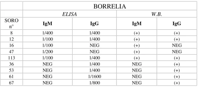 Tabela 5: ELISA e Western blotting para Borrelia burgdorferi.