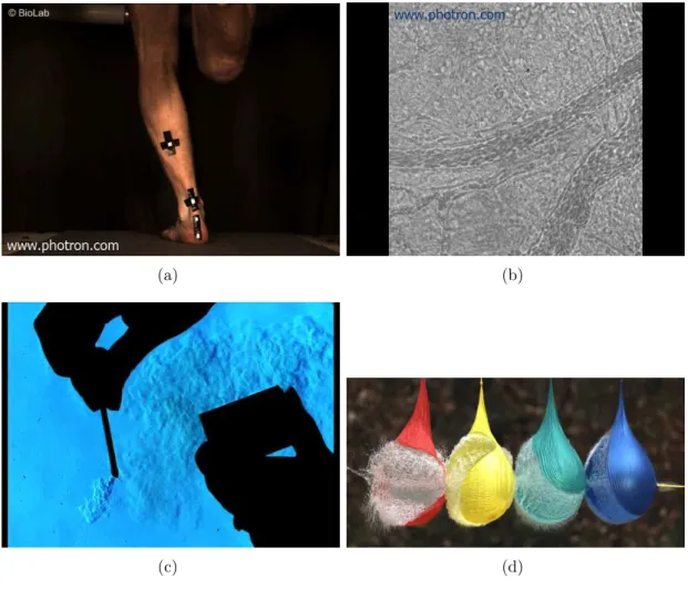 Figura 1.2. Diversas aplica¸c˜ oes de v´ıdeo de alta velocidade. (a) Aplica¸c˜ao em biomecˆ anica, neste caso as imagens a 2000 FPS ajudam a entender o comportamento dos m´ usculos na atividade de corrida