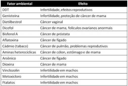 Tabela 1.1. Principais fatores ambientais e seus efeitos transgeracionais em mamíferos