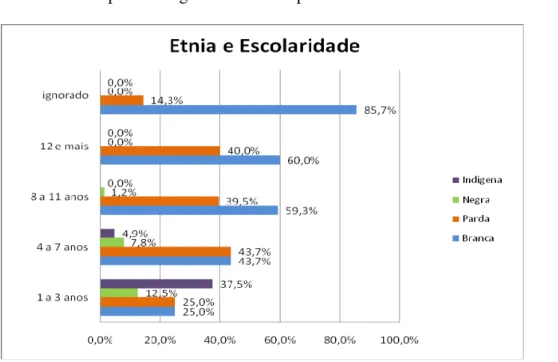 Gráfico I – Apresentação da distribuição de etnia e grau de escolaridade.  