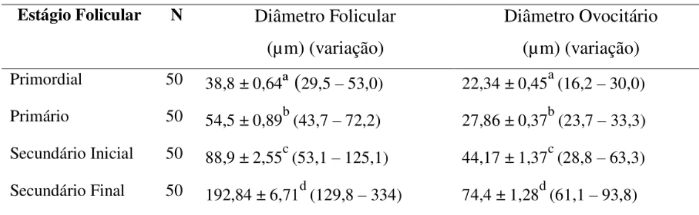Tabela  2.2.  Caracterização  do  diâmetro  de  folículos  e  ovócitos  obtidos  de  folículos  pré- pré-antrais em ovários de fêmeas Nelore (média ± Erro Padrão)