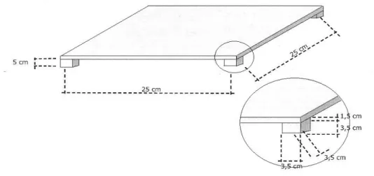 FIGURA 8- Dimensões das plataformas de madeira para a tarefa TP. 