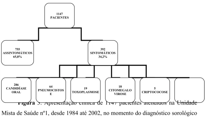 Figura  3: Apresentação clínica de 1147 pacientes atendidos na Unidade  Mista de Saúde nº1, desde 1984 até 2002, no momento do diagnóstico sorológico  positivo para o HIV