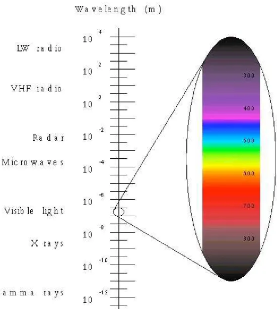 Figura 5 - Frequência eletromagnética das cores em comparação com outras frequências  conhecidas 