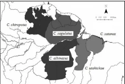 Figura 1.2  –  Distribuição geográfica de Chiropotes na Amazônia, modificado de  Silva Jr