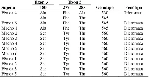 Tabela 2.3 – Descrição dos aminoácidos identificados nos exons 3 e 5, genótipo dos  alelos M/L e o fenótipo de visão de cores de 12 sujeitos de Chiropotes utahickae de  cativeiro 