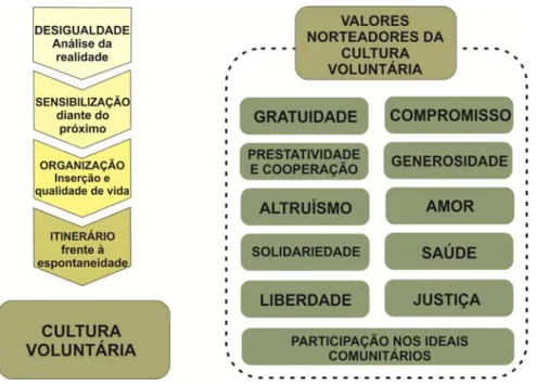 Figura 1: Características da Cultura Voluntária e seus Valores Norteadores 