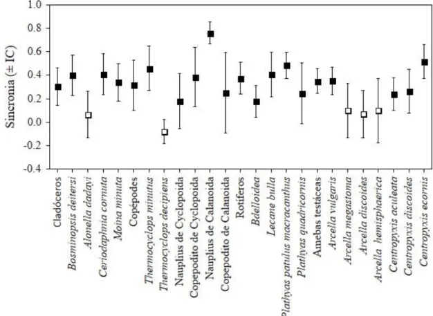 Figura 4: Valores médios de sincronia (± IC) do grupos e espécies comuns de zooplâncton do  reservatório  Santo Antônio  do  Jari