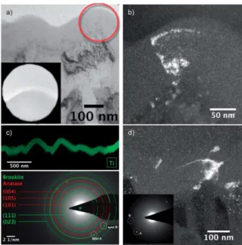 Fig.  5  TEM  analysis  of  the  hydrothermally  treated  sample  compared  to  the  reference  sample