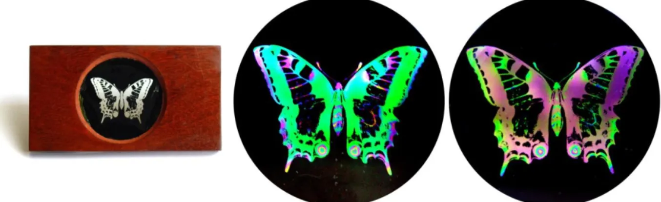 Figure 14. Gypsum preparation for projection in polarized light. Complementary colours as shown by the 90° rotation of the  nicol