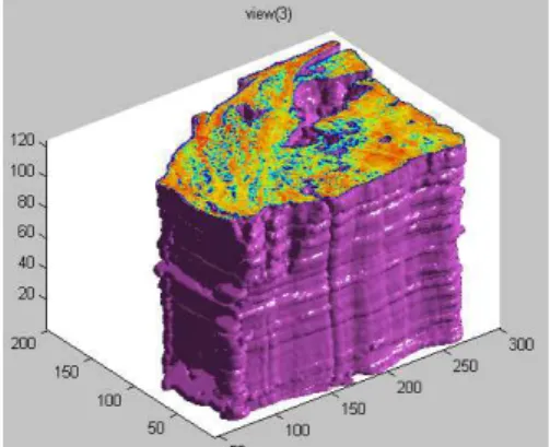 Figure 8. 3D reconstruction obtained for Case #2. 