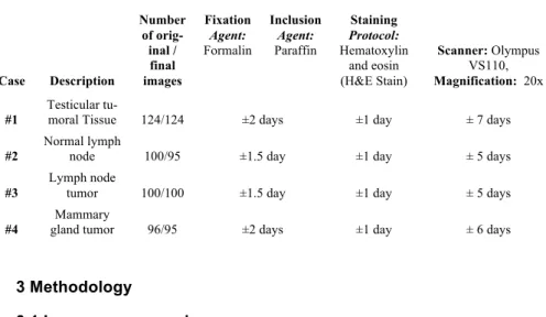 Table 1. Details about the tissue preparation procedures and images obtained. 