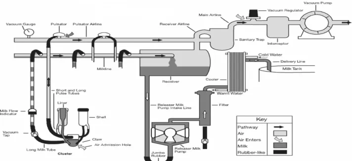 Figura 7-Sistema de lavagem simples da máquina de ordenha (Reinemann et al. 2000) 
