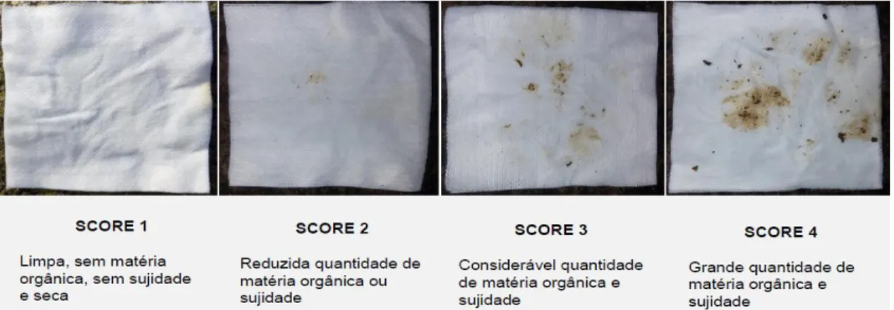 Figura 9-Score de higiene de limpeza do teto (adaptado de WestfaliaSurge) 