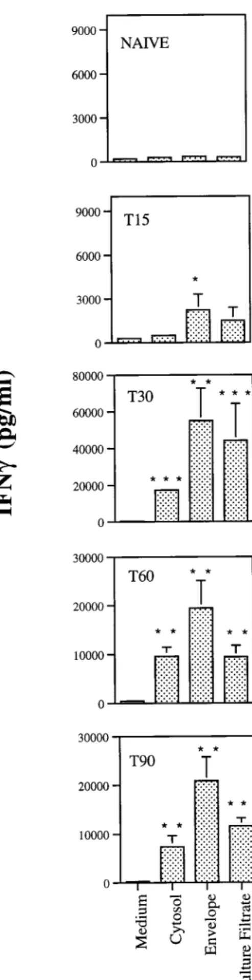 FIG. 2. Antigenicity of the crude extracts of M. avium 2447 proteins. Single- Single-cell suspensions were prepared from spleens of mice infected for 15 (T15), 30 (T30), 60 (T60), or 90 (T90) days with M