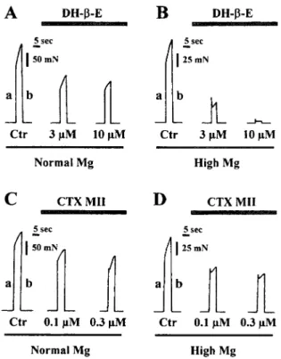 Fig. 5. Representative recordings of nerve-evoked hemidiaphragm tetani (50 Hz for 5 sec) in the presence of dihydro-␤-erythroidine (DH-␤-E, 3 and 10 ␮M) and ␣-conotoxin MII (CTX MII, 0.1 and 0.3
