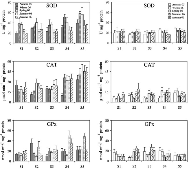 Figure  2.2  Seasonal  variation  of  biomarkers  analysed  in  Mytilus  galloprovincialis  collected  at  five  sampling  sites  (S1-S5)  along  the  NW  coast  of  Portugal  from  the  autumn  2005  to  the  autumn  2006