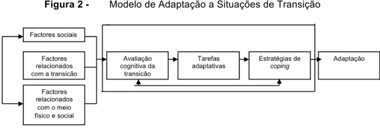 Figura 2 -   Modelo de Adaptação a Situações de Transição 