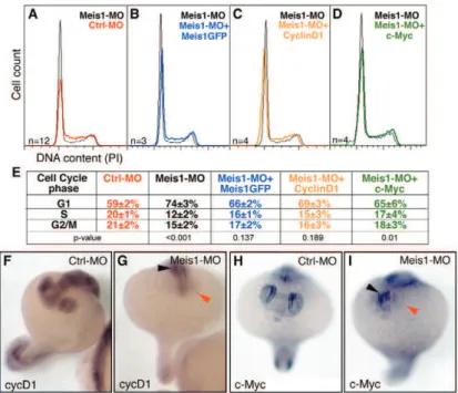 Fig. 3. meis1 is required for the G1–S transition and the expression of the G1–S regulators cyclin D1 and c-myc