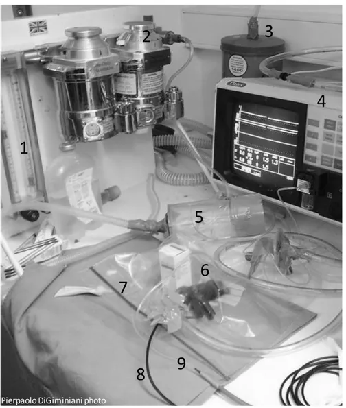 Fig.  2.1:  Set-up  for  the  volatile  anaesthesia.  1-  oxygen  level,  2-  isoflurane  vaporizer,  3-  gas  extraction  system,  4-  volatile  agent  analyser,  5-  induction  chamber,  6-  anaesthetised  mouse,  7-  plastic  resalable-zipper  storage  