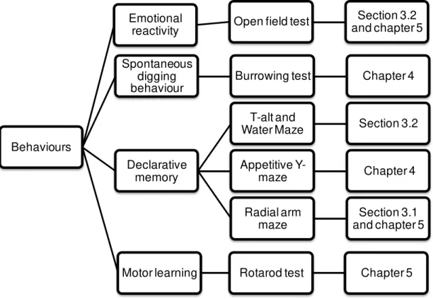 Fig.  2.3:  Schematic  representation  of  all  the  behavioural  tests  used,  their  association  with  the  different  types  of  memory,  and  in  which  study  they  were  performed