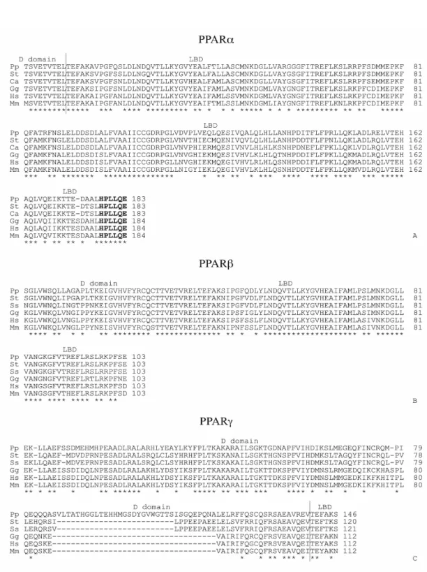 Fig. 1 – Comparison of the predicted amino acid sequences for PPARs of  Salmo trutta f